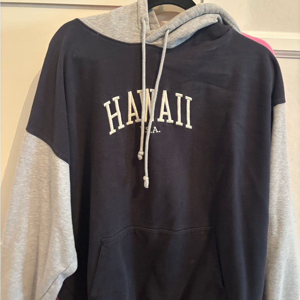 Brandy Melville Blue and Gray Sweater Hawaii Style